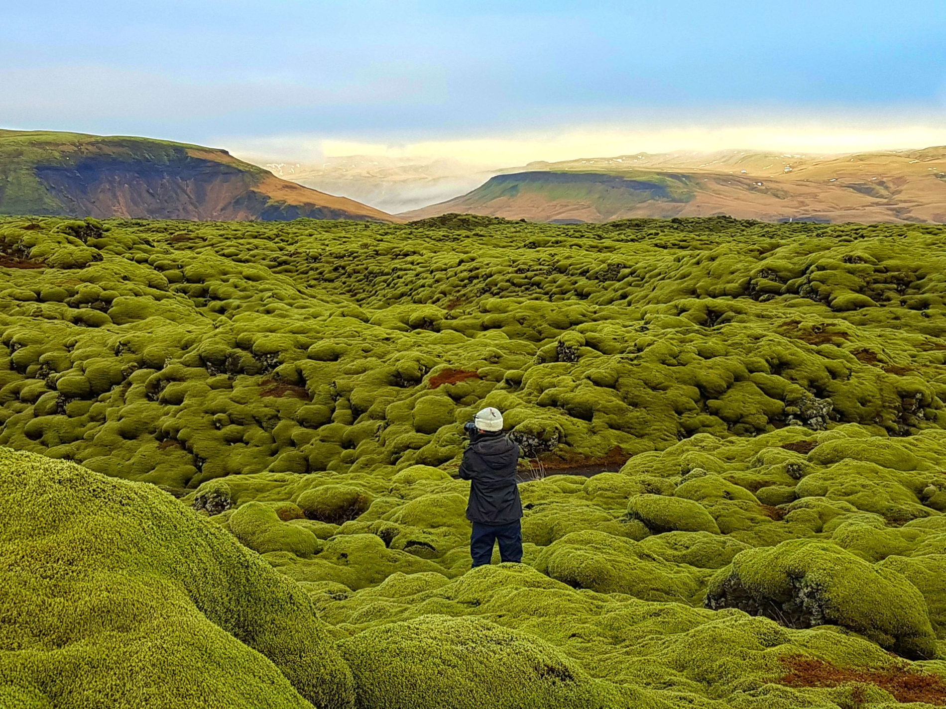Islande champ de lave à Eldhaurn